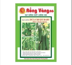 Dưa Chuột baby ( Dưa leo chùm )