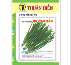 HẠT GIỐNG HẸ LÁ CAO SẢN THUẬN ĐIỀN
