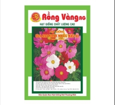 Hoa sao nháy nhiều màu ( số 21 )