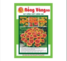 Hoa Cúc Công Chúa nhiều màu ( số 32 )