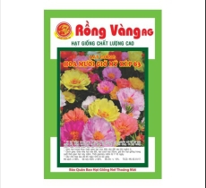 Hoa 10 giờ mỹ kép ( số 63 )