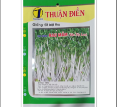HẠT GIỐNG RAU MẦM TRẮNG