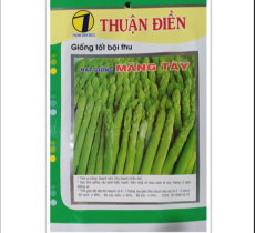 HẠT GIỐNG MĂNG TÂY XANH THUẬN ĐIỀN