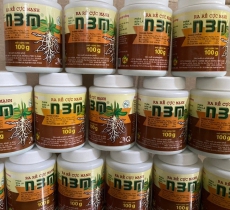 Kích thích ra rễ N3m
