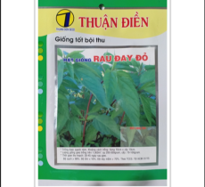 HẠT GIỐNG RAU ĐAY ĐỎ THUẬN ĐIỀN 