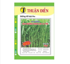 HẠT GIỐNG RAU MUỐNG CHỌN LỌC LÁ TRE ( LÁ DÀI ) THUẬN ĐIỀN