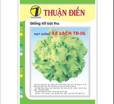 HẠT GIỐNG XÀ LÁCH XOĂN SƯ TỬ THUẬN ĐIỀN