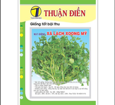 HẠT GIỐNG RAU XÀ LÁCH XOONG MỸ THUẬN ĐIỀN
