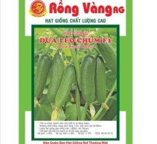 Dưa leo chùm ( gói 5 hạt )