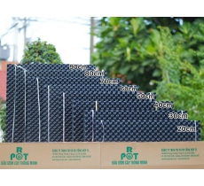 BẦU ƯƠM CÂY THÔNG MINH 0.55mm