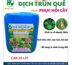 DỊCH TRÙN QUẾ CHUYÊN PHỤC HỒI CÂY, KÍCH THÍCH RA RỄ MỚI CAN 10 LÍT
