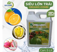 SIÊU LỚN TRÁI, NUÔI TRÁI NẶNG KÝ, KÍCH TRÁI LỚN NHANH, NẶNG KÝ, MÀU ĐẸP