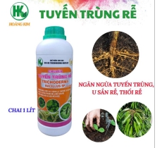 TUYẾN TRÙNG RỄ DẠNG NƯỚC VỚI 25 TỶ BÀO TỬ TRICHODERMA BACILLUS/ XỬ LÝ TUYẾN TRÙNG, PHỤC HỒI THỐI RỄ CHAI 1 LÍT