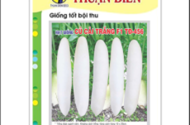 Đại lý phân phối hạt giống rau ăn củ uy tín bạn không nên bỏ qua