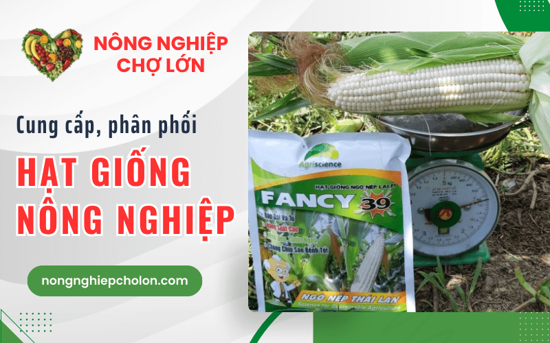 hạt giống nông nghiệp