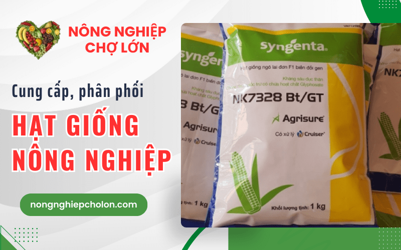 hạt giống nông nghiệp