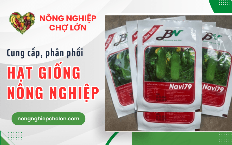 hạt giống nông nghiệp