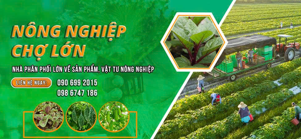 Nông nghiệp Phương Huy (Nông nghiệp chợ lớn)