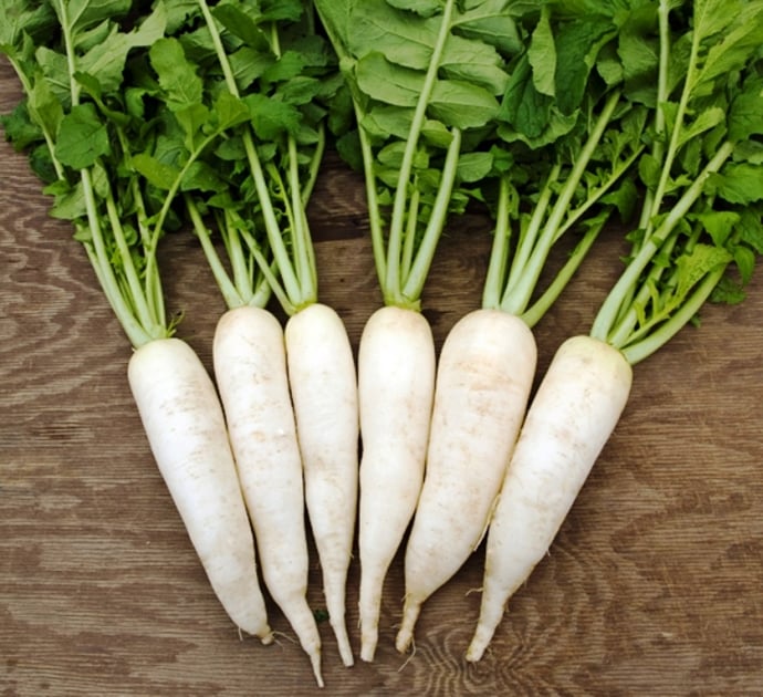 Cải Củ Trắng