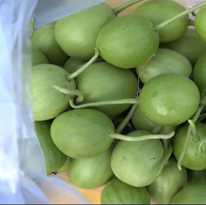 Hạt Giống Dưa Nụ
