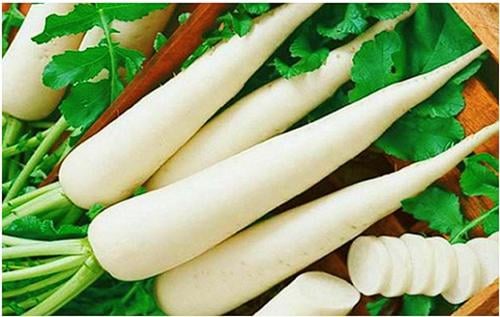 Cải Củ Trắng