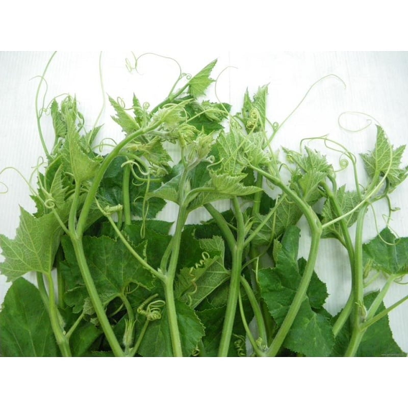 Hạt Giống Bí Đỏ Ăn Ngọn